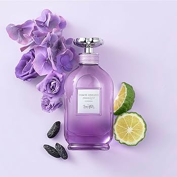 Coach dreams moonlight edp