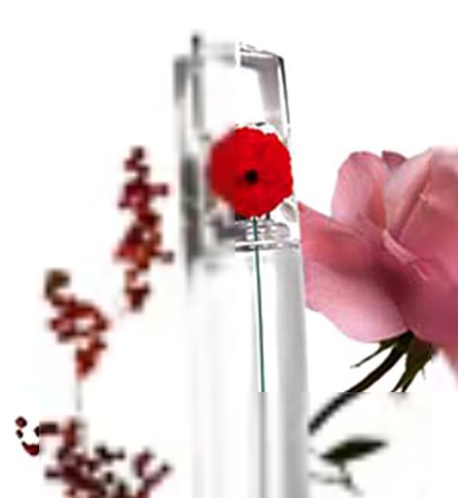 Flower by kenzo EDP 1ml sample