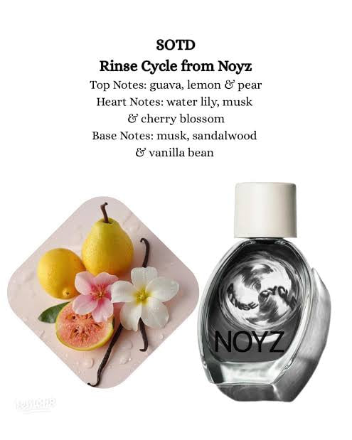 Noyz rinse cycle edp sample