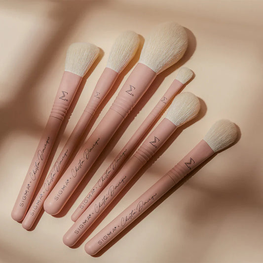 SIGMA X CHRISTEN DOMINIQUE BRUSH SET