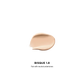 Vanish™ Airbrush Concealer