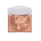 GloWish Soft Radiance Bronzing Powder