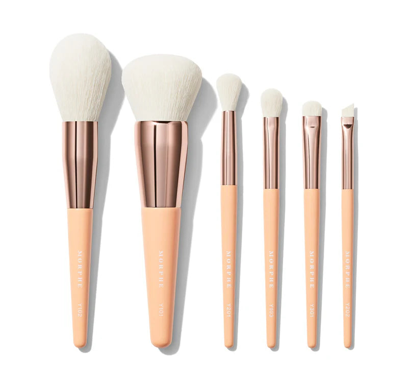 Aurascape 6-Piece Face & Eye Travel Brush Set