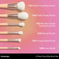 Aurascape 6-Piece Face & Eye Travel Brush Set