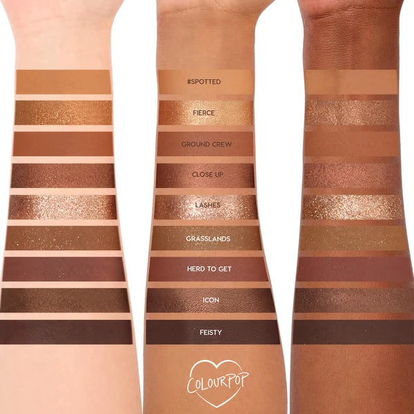 9-Pan Palette pigmented pressed powder palette