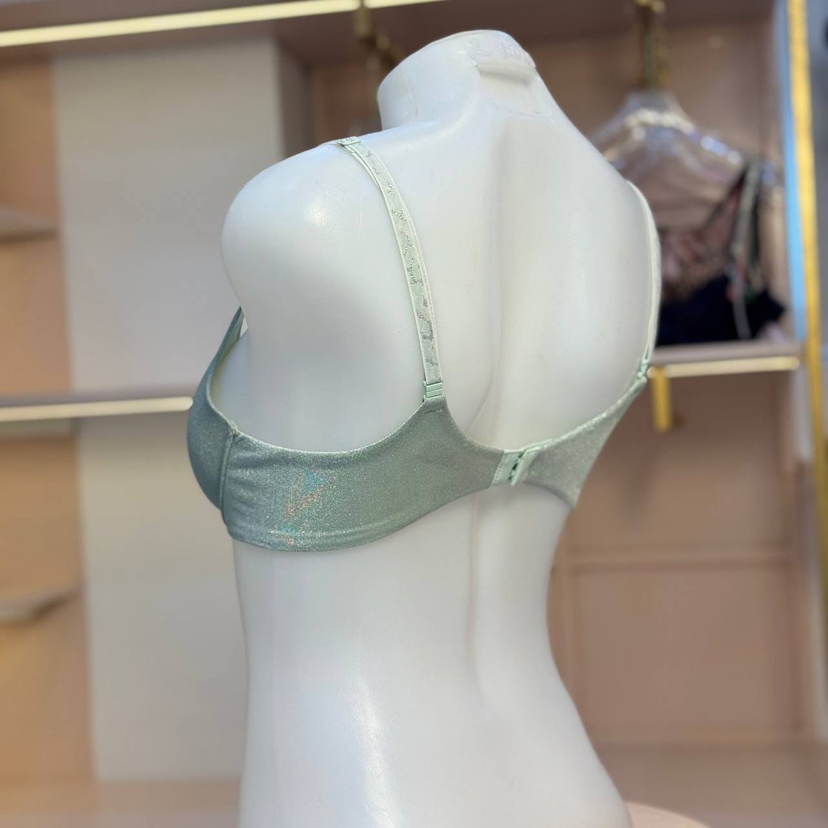 T-Shirt Demi Bra (03)